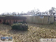 12_20130212_151231medium