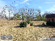 13_20130212_143802medium